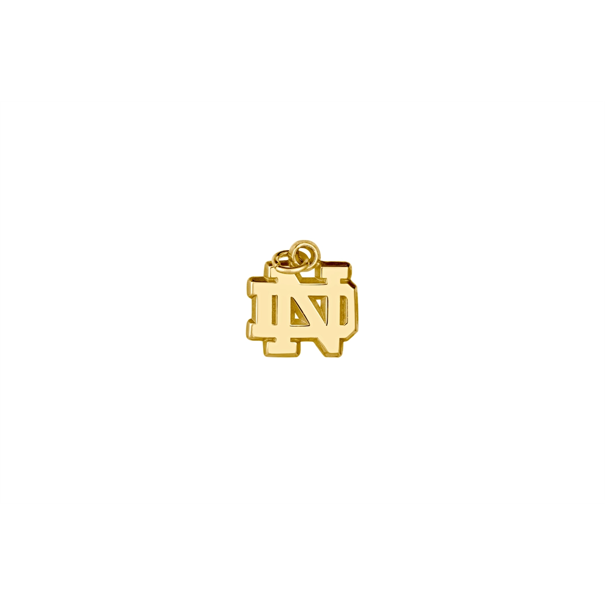 14K Yellow Gold Notre Dame Charm